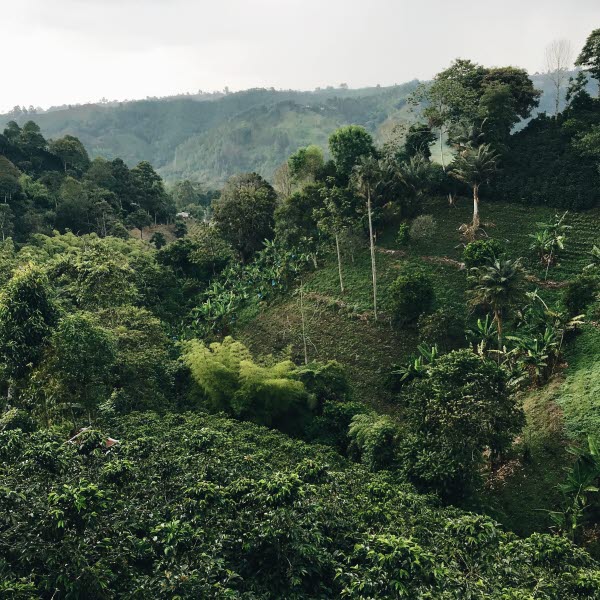 COLOMBIA_reiseuhu-2GrRlrLReQc-unsplash.jpg COLOMBIA_reiseuhu-2GrRlrLReQc-unsplash.jpg