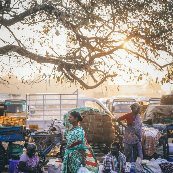 INDIA_prashanth-pinha-MXspT1Q67VA-unsplash.jpg INDIA_prashanth-pinha-MXspT1Q67VA-unsplash.jpg
