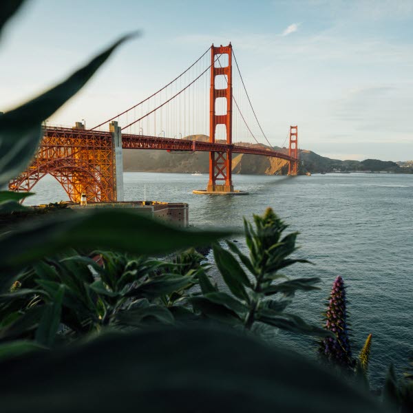 SANFRANCISCO_tim-foster-o4mP43oPGHk-unsplash.jpg SANFRANCISCO_tim-foster-o4mP43oPGHk-unsplash.jpg